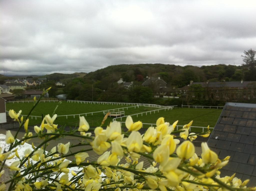 Errismore House Clifden Oda fotoğraf